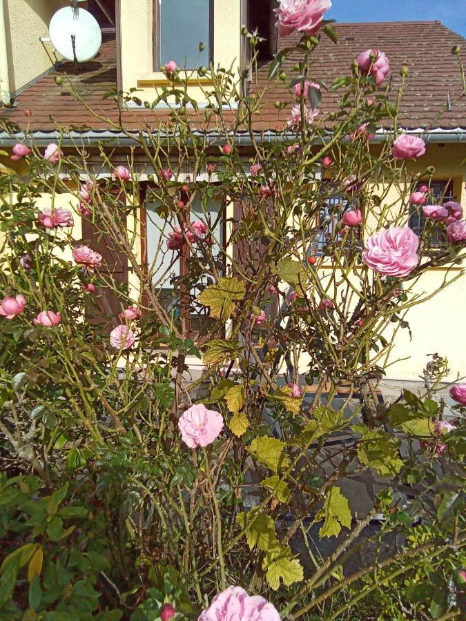Gite Des Hortensias Raon-aux-Bois Eksteriør billede