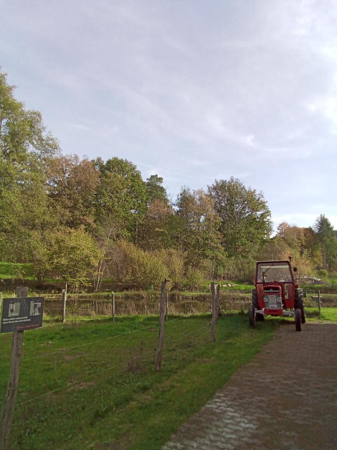 Gite Des Hortensias Raon-aux-Bois Eksteriør billede