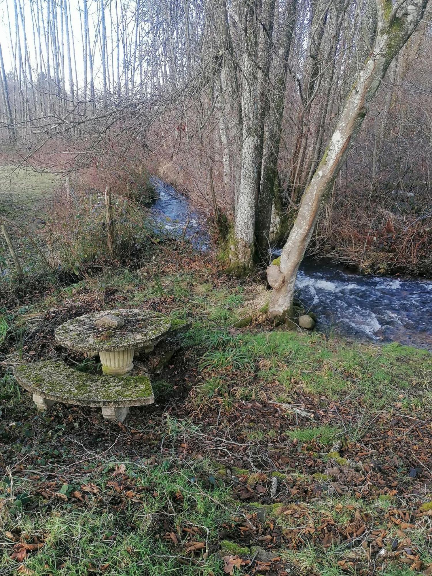 Gite Des Hortensias Raon-aux-Bois Eksteriør billede