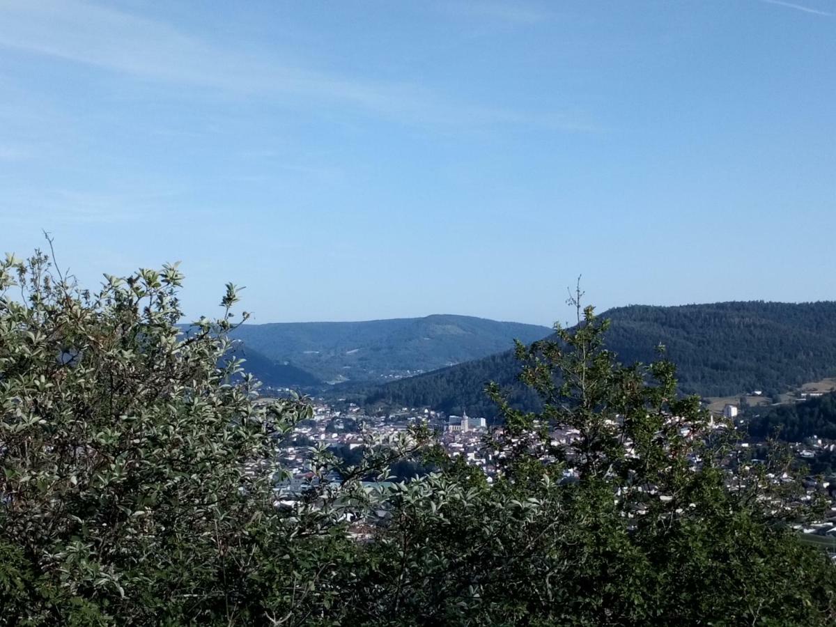 Gite Des Hortensias Raon-aux-Bois Eksteriør billede